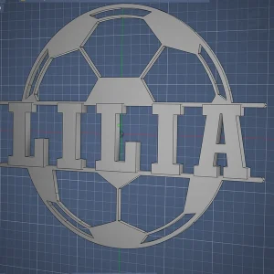 3D-gedruckter Fußball mit individuellem Namen LILIA